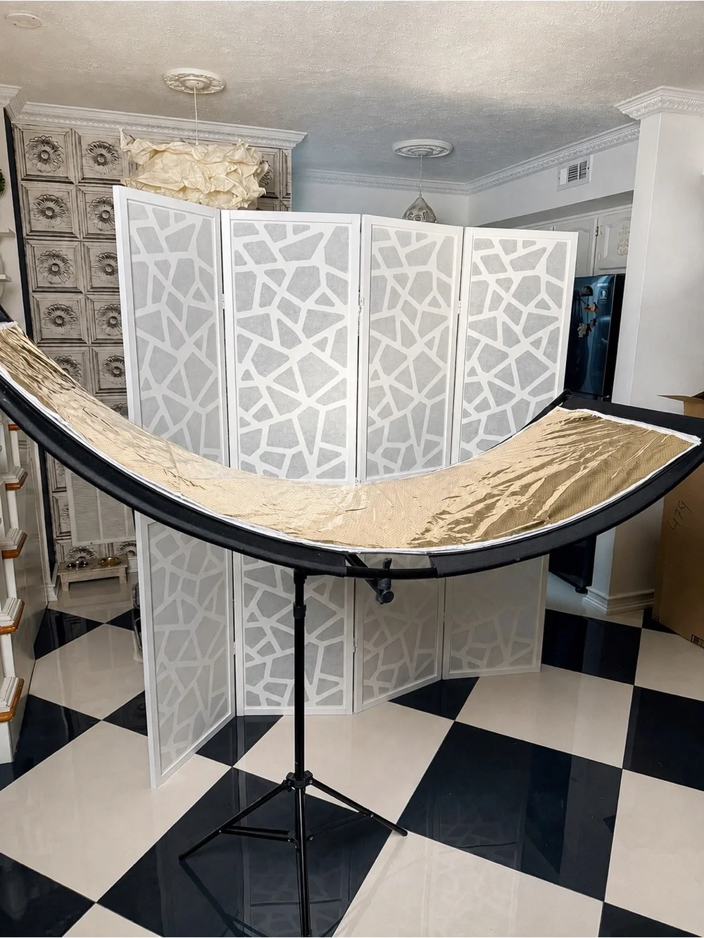 YUOCU 70” x 24” Curved Photography Reflector with Stand